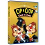 CIP & CIOP GUAI IN VISTA
