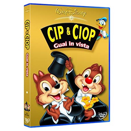 CIP & CIOP GUAI IN VISTA