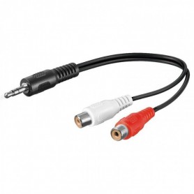 ADATTATORE AUDIO JACK 3.5M/2 RCA F