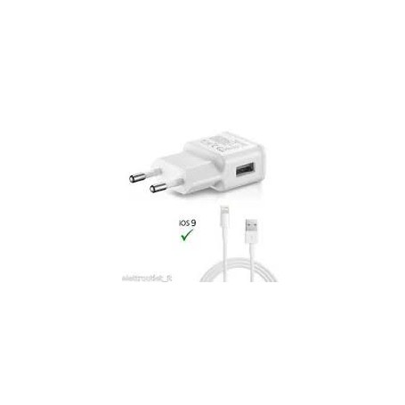 CARICABATTERIA DA CASA 2USB 2.1A+CAVO LIGHTNING IP