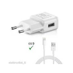 CARICABATTERIA DA CASA 2USB 2.1A+CAVO LIGHTNING IP
