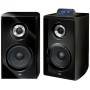 SPEAKER UNIVERSALI 100WATT AMPLIFICATI USB SD CARD
