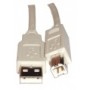 CAVO STAMPANTE USB 5MT