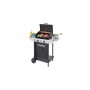 BARBECUE A GAS CON 2 BRUCIATORI INOX