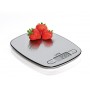 BILANCIA DA CUCINA DIGITALE PORTATA MASSIMA 5KG
