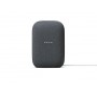 GOOGLE NEST AUDIO ASSISTENTE VOCALE ANTRACITE
