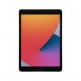 IPAD 10.2 WIFI 128GB SPACE GRAY 8TH GENERAZIONE