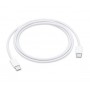 CAVO DATI ORIGINALE APPLE TYPE C TYPE C