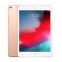 IPAD MINI 7.9 WIFI 64GB COLOR GOLD
