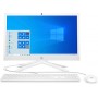 PC ALL IN ONE AMD PENTIUM SSD 256GB RAM 8GB 20.7