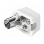SPINA COASSIALE PER TV 9.5MM A PIPA FEMMINA