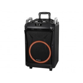 ALTOPARLANTE AMPLIFICATO BLUETOOTH 140WATT