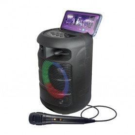 SPEAKER BLUETOOTH 25WATT A BATTERIE