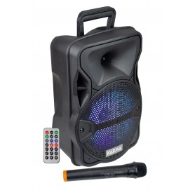 SPEAKER BLUETOOTH AMPLIFICATO 300WATT