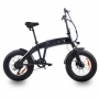 BICICLETTA ELETTRICA 20 PIEGHEVOLE 250WATT GRIGIO