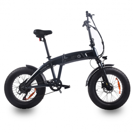 BICICLETTA ELETTRICA 20 PIEGHEVOLE 250WATT GRIGIO