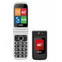 CELLULARE GSM DA 2.4 RADIO E FOTOCAMERA 4G