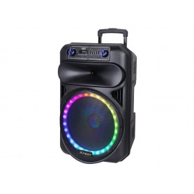 ALTOPARLANTE AMPLIFICATO KARAOKE USB BLUETOOTH WIF