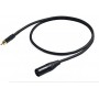 CAVO XLR - RCA 2 MT