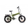 BICICLETTA ELETTRICA 20 250WATT BATTERIA 10AH