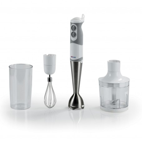 FRULLATORE AD IMMERSIONE 500WATT CON 3 ACCESSORI