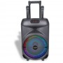 SPEAKER WIRELESS 250WATT CON MICROFONO E LED
