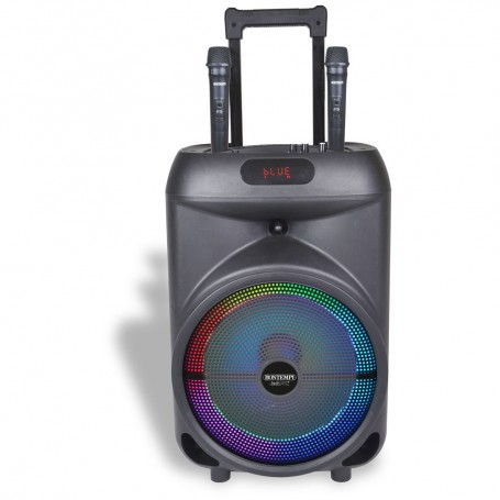 SPEAKER WIRELESS 250WATT CON MICROFONO E LED