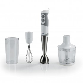 FRULLATORE AD IMMERSIONE 500WATT CON ACCESSORI