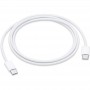 CAVO DATI ORIGINALE APPLE 60WATT TYPE C 1MT