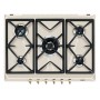 PIANO COTTURA A GAS 5 FUOCHI 70CM GHISA AVENA