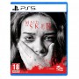MAID OF SKER PER PS5