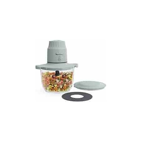 TRITATUTTO 500WATT CAPACITÀ 1LT CON RECIPIENTE