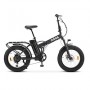 BICICLETTA ELETTRICA 20 250WATT BETTERIA 36AH