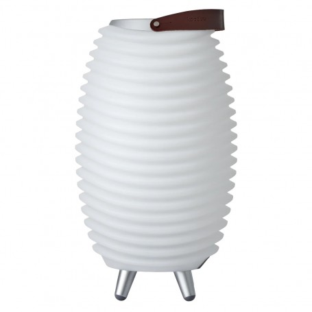 SPEAKER BLUETOOTH CON LAMPADA DIMMERABILE