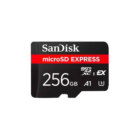 MEMORY MICRO SD DA 256GB 880MB/S CLASSE A1