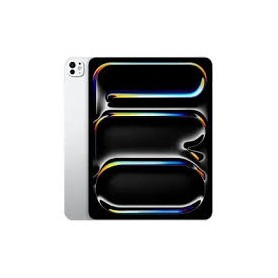 IPAD PRO 13 WIFI 8TH M5 256GB  SILVER