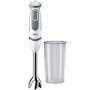 FRULLATORE AD IMMERSIONE 750WATT CON BICCHIERE