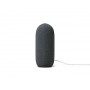 GOOGLE NEST AUDIO ASSISTENTE VOCALE ANTRACITE