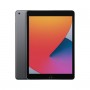 IPAD 10.2 WIFI 128GB SPACE GRAY 8TH GENERAZIONE