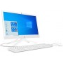 PC ALL IN ONE AMD PENTIUM SSD 256GB RAM 8GB 20.7