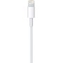CAVO APPLE LIGHTNING USB-C 2MT