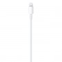 CAVO DATI ORIGINALE APPLE USB-C LIGHTNING 1.0MT