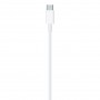 CAVO APPLE LIGHTNING USB-C 2MT