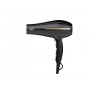 PHON 2200W BORA ION GOLD