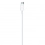 CAVO DATI ORIGINALE APPLE USB-C LIGHTNING 1.0MT