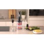 FRULLATORE AD IMMERSIONE 1000WATT 0,5LT CON ACC