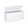 CONGELATORE ORIZZONTALE 519LT CLASSE F STATICO BIA