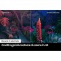 TV 75 CRYSTAL UHD 4K SMART TV 3HDMI CLASSE G